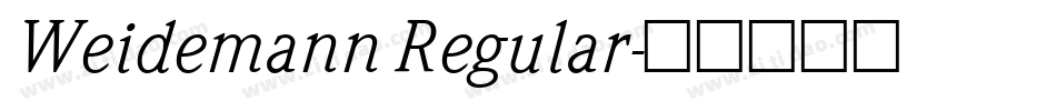 Weidemann Regular字体转换